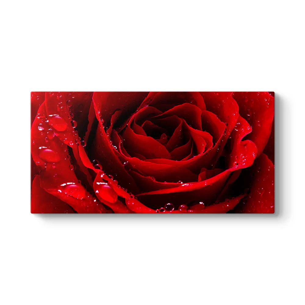 Kırmızı Gül Damlalar Tablosu - Model 5